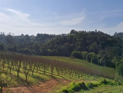 Terreno para Venda, em Atibaia, bairro Iara