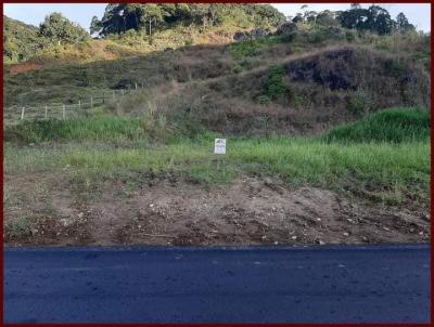 Terreno para Venda, em Guaramirim, bairro Rio Branco