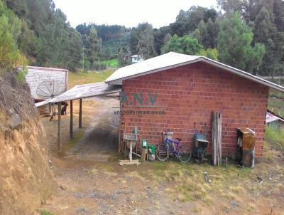 Chcara para Venda, em Caxias do Sul, bairro Santa Lcia do Pia, 2 dormitrios, 1 banheiro