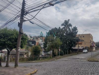 Terreno para Venda, em Caxias do Sul, bairro Medianeira