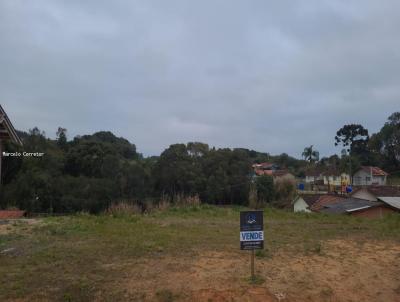 Terreno para Venda, em Campo Alegre, bairro Fragosos