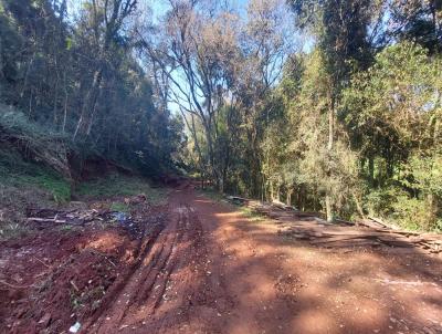 Stio / Chcara para Venda, em Carazinho, bairro 