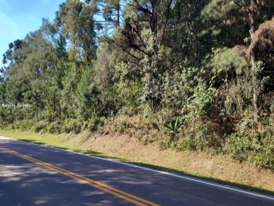 Terreno Comercial para Venda, em Pin, bairro trigolandia