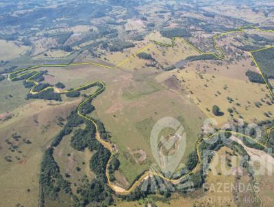 Fazenda para Venda, em Santo Antnio do Monte, bairro ZONA RURAL