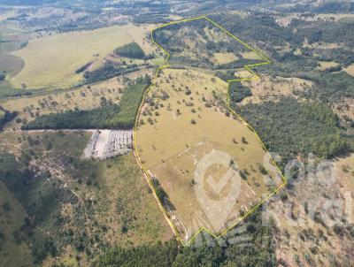 Fazenda para Venda, em Santo Antnio do Monte, bairro 79