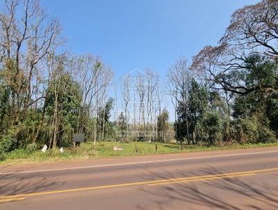 rea Rural para Venda, em Santa Rosa, bairro ERS 344