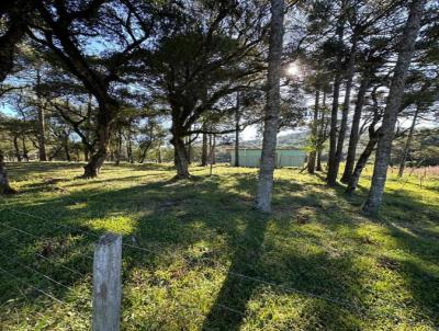 Chcara para Venda, em Curitibanos, bairro -