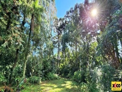 Terreno para Venda, em Nova Petrpolis, bairro Pi