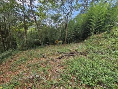 Terreno para Venda, em Terespolis, bairro Cascata dos Amores