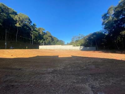 Terreno para Venda, em Terespolis, bairro Albuquerque