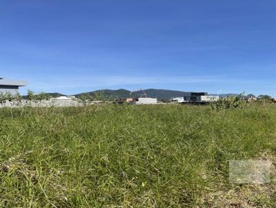 Terreno para Venda, em Florianpolis, bairro Campeche