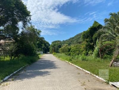 Terreno para Venda, em Florianpolis, bairro Rio Tavares