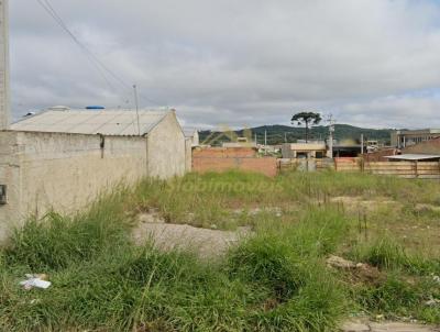 Terreno para Venda, em Araucria, bairro Capela Velha