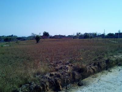 Terreno para Venda, em , bairro Santa Cruz