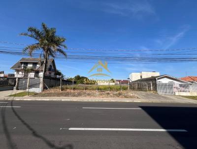 Terreno para Venda, em Araucria, bairro Fazenda Velha