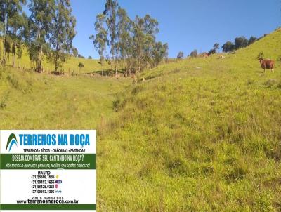 Terreno para Venda, em Crucilndia, bairro zona rural