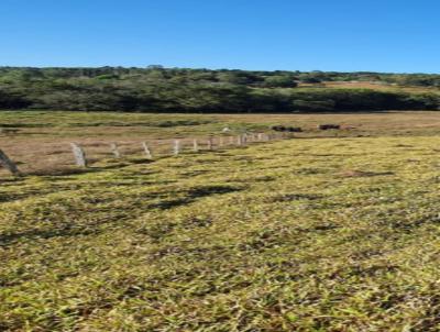 Terreno para Venda, em Carmpolis de Minas, bairro zona rural