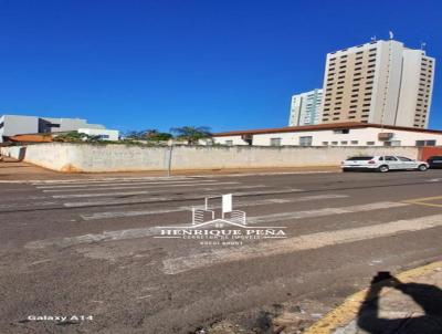 Barraco para Venda, em Cornlio Procpio, bairro Centro, 2 banheiros