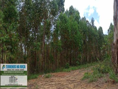 Fazenda para Venda, em Oliveira, bairro zona rural