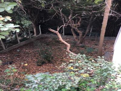 Terreno para Venda, em So Paulo, bairro Chora menino