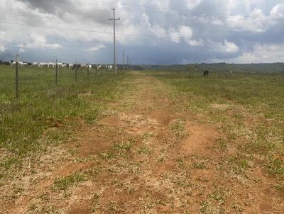 rea para Locao, em RA IX Ceilndia, bairro Ceilndia Sul (Ceilndia)