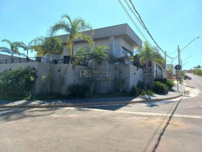 imagem-miniatura