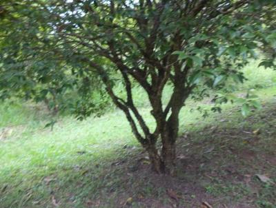 Terreno para Venda, em Atibaia, bairro Jardim Estncia Brasil