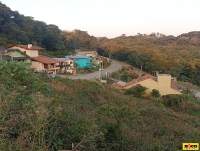 Terreno para Venda, em Nova Petrpolis, bairro Centro