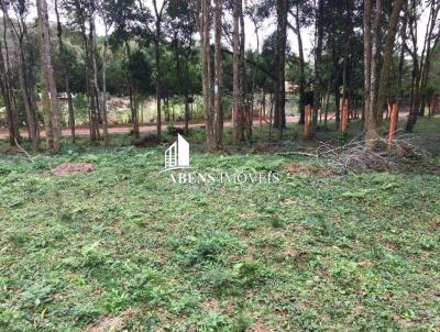 Terreno para Venda, em Piraquara, bairro Colnia Santa Maria, 10 vagas