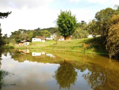 Chcara para Venda, em So Bento do Sul, bairro Serra Alta, 2 dormitrios, 1 banheiro, 1 vaga