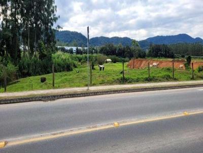 Terreno para Venda, em Guaramirim, bairro Ilha da Figueira