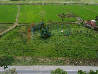 Terreno para Venda, em Massaranduba, bairro Centro