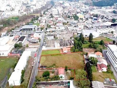 Terreno para Venda, em Rio do Sul, bairro Canta Galo