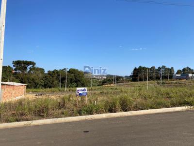 Terreno para Venda, em Ortigueira, bairro Monte Carmelo