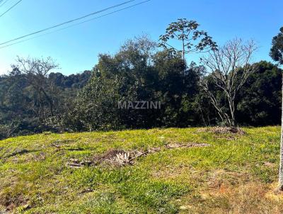 Terreno para Venda, em Rio do Sul, bairro Bremer