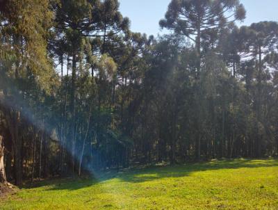 Terreno para Venda, em Campo Alegre, bairro Bateias de Baixo