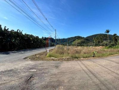 Terreno para Venda, em Guaramirim, bairro Beira Rio