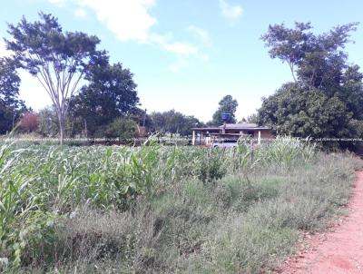 Chcara para Venda, em Antnio Joo, bairro Assentamento Bagagem