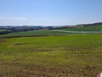 Fazenda para Venda, em Piraju, bairro Rural