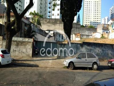 Terreno para Locao, em So Paulo, bairro Vila Regente Feij