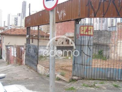 Terreno para Locao, em So Paulo, bairro Vila Regente Feij