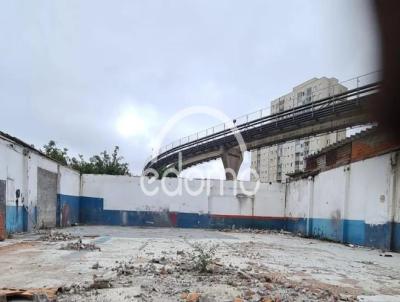 Terreno para Locao, em So Paulo, bairro Vila Independncia