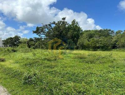 Terreno para Venda, em Florianpolis, bairro Ribeiro da Ilha