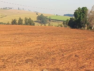 rea Rural para Venda, em Getulina, bairro 2.8 km da BR 153