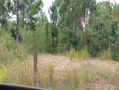 Terreno para Venda, em Balnerio Gaivota, bairro Sulmar