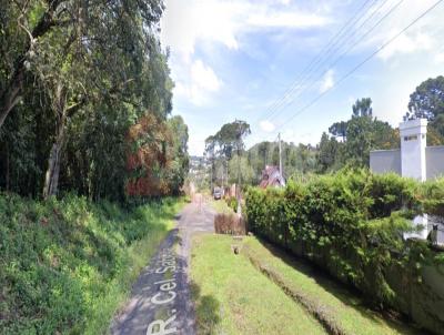 Terreno para Venda, em Irati, bairro Vila Nova