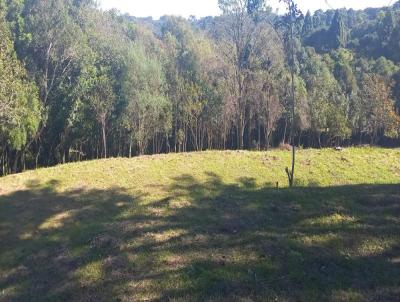 Chcara para Venda, em Campo Largo, bairro Jardim Florestal