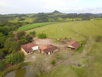 Stio para Venda, em Santo Antnio da Alegria, bairro RURAL