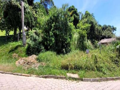 Terreno para Venda, em So Francisco do Sul, bairro Rocio Pequeno