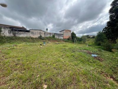 Terreno para Venda, em Campo Largo, bairro Rivabem